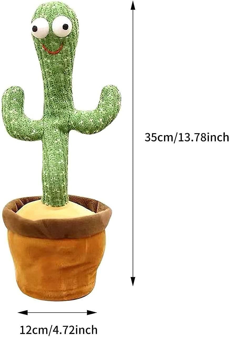 Mimicry & Musical Cactus for Kids
