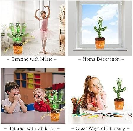Mimicry & Musical Cactus for Kids