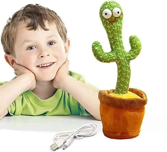 Mimicry & Musical Cactus for Kids