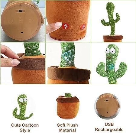 Mimicry & Musical Cactus for Kids